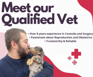 Vet Services Liverpool